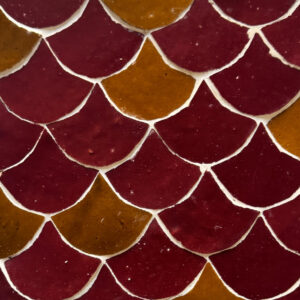 Fishscale in Cerise & Sienna