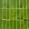 Rectangle in Lime