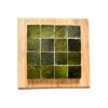 Square in Olive