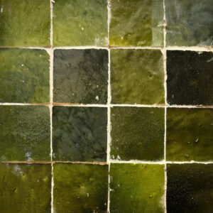 Square in Olive