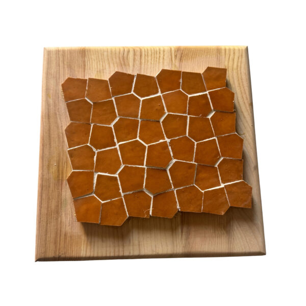 Web Pattern in Pumpkin