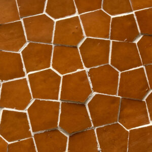 Web Pattern in Pumpkin